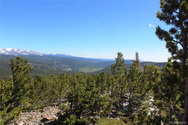 18456 Illinois Lode, Black Hawk, CO 80422