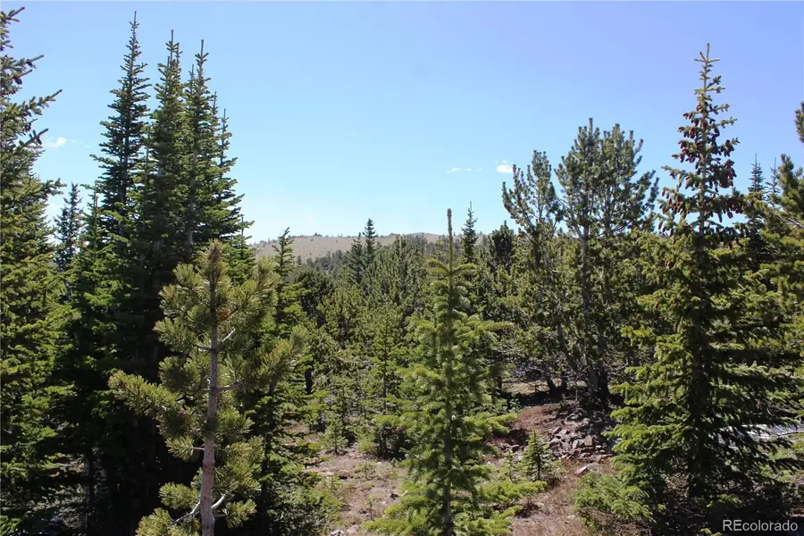 18456 Illinois Lode, Black Hawk, CO 80422 - #2