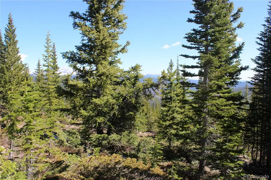 18456 Illinois Lode, Black Hawk, CO 80422 - #3