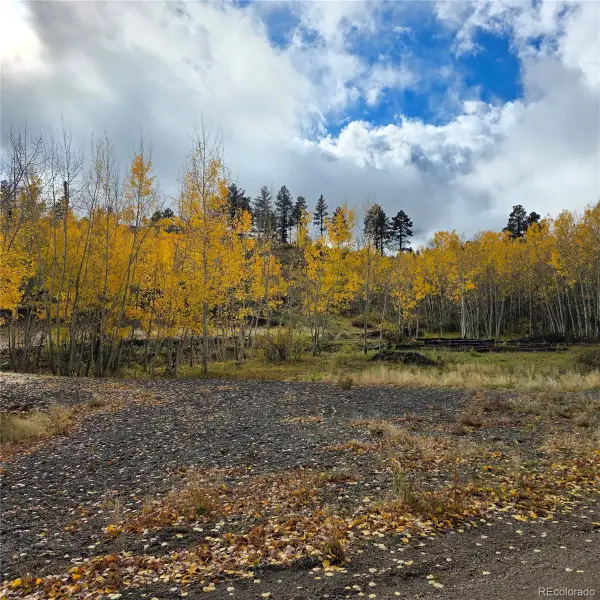 302 Rickel Circle, South Fork, CO 81154