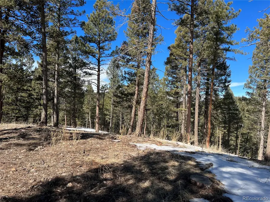 7871 Gold Rush, Morrison, CO 80465 - #2