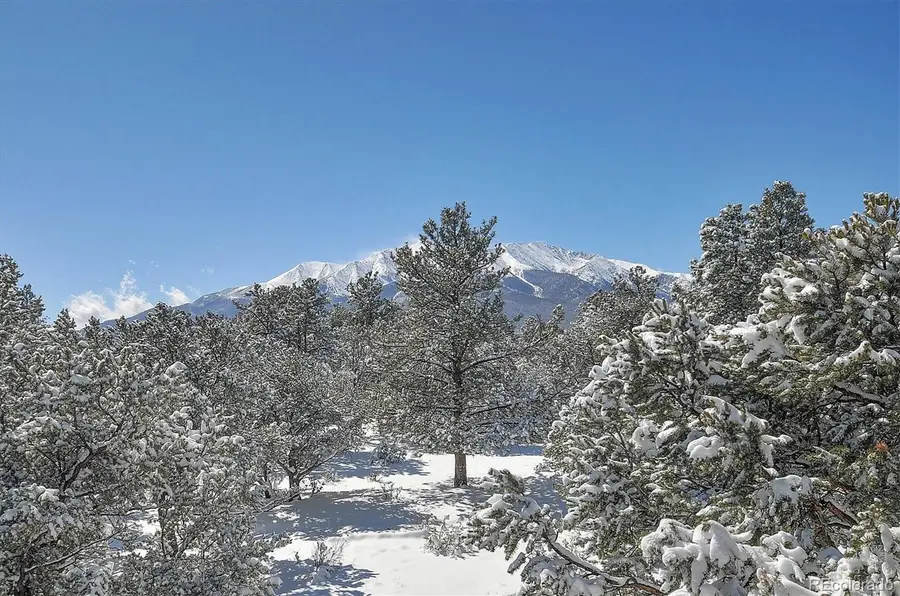 17158 County Road 363, Buena Vista, CO 81211 - #2