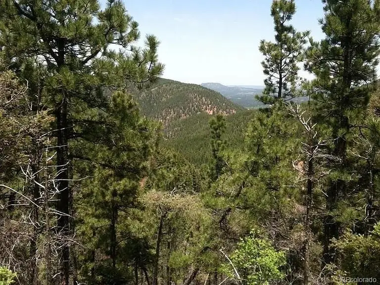 13499 S Firedog Way, Larkspur, CO 80118 - #2