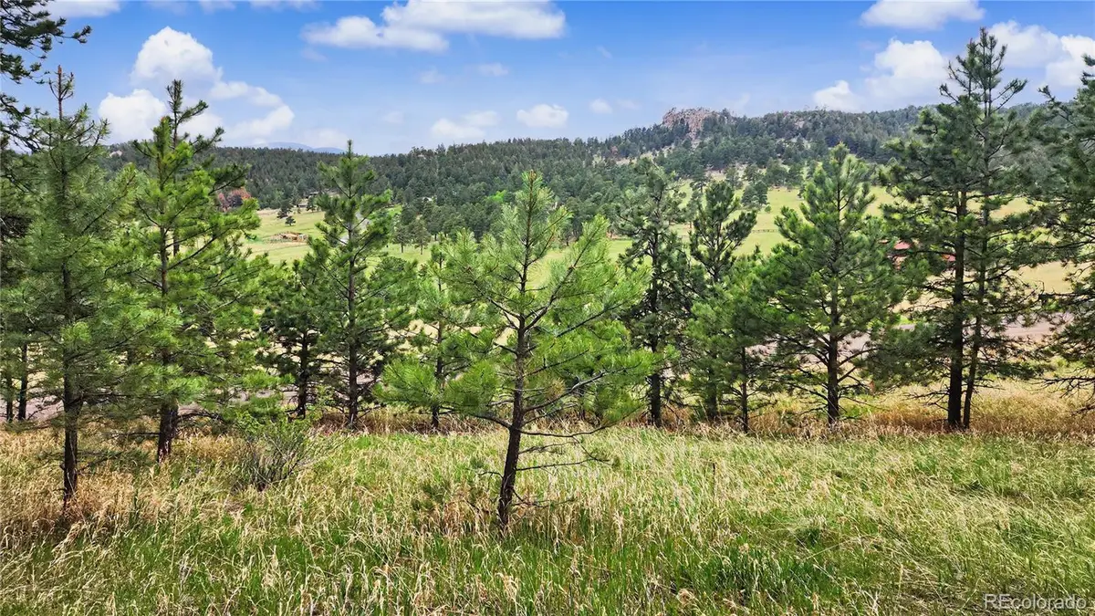 6078 Lone Peak Drive, Evergreen, CO 80439 - #1
