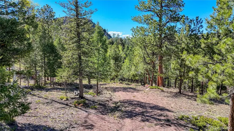 56 Fir Lane, Florissant, CO 80816 - Image #3