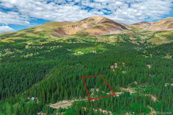 1062 Roberts Road, Alma, CO 80420