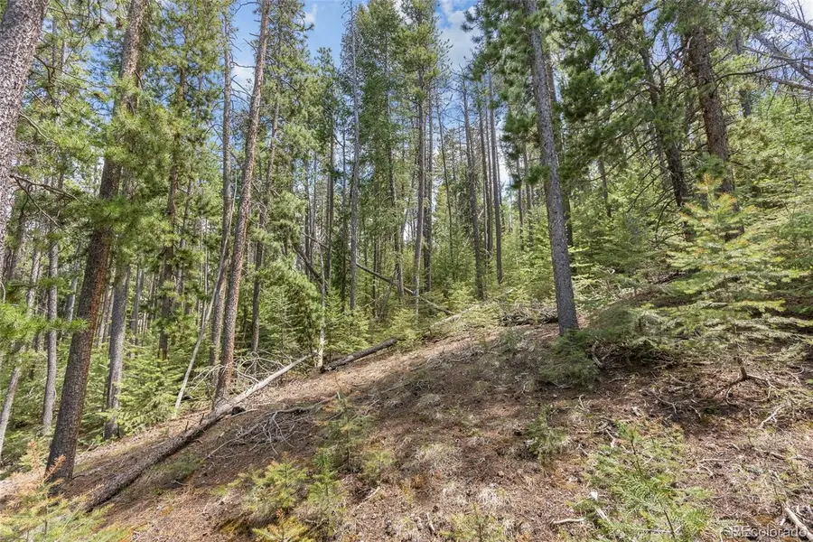 Lost Cabin Trail, Evergreen, CO 80439 - #3