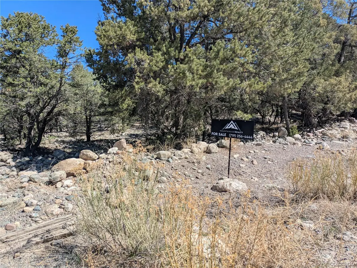 2202 Spanish Creek Road, Crestone, CO 81131 - #1