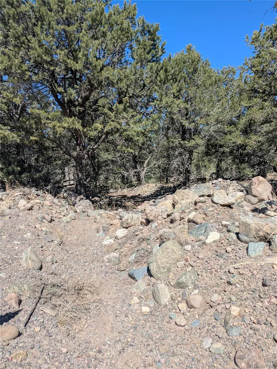 2202 Spanish Creek Road, Crestone, CO 81131 - #2