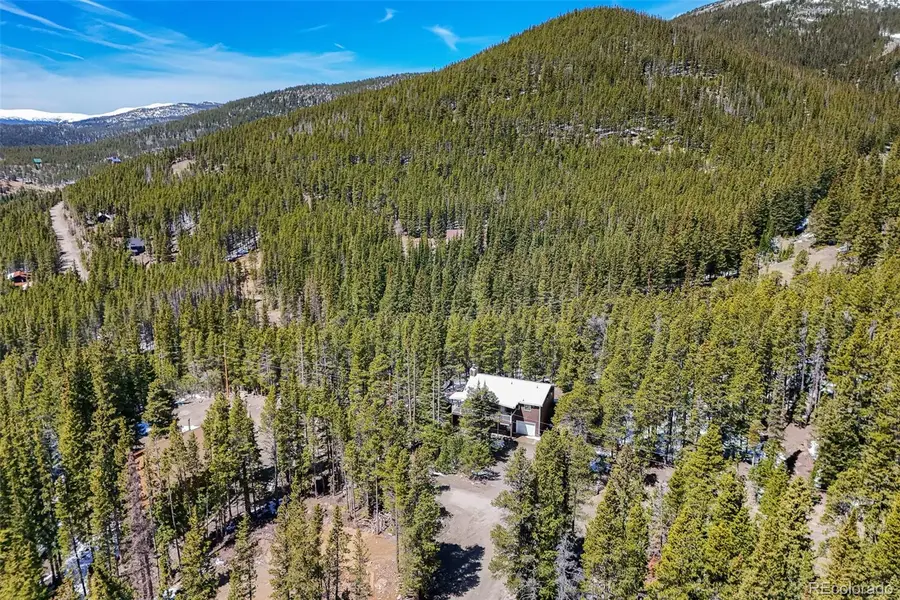 218 Brook Drive, Idaho Springs, CO 80452 - #2