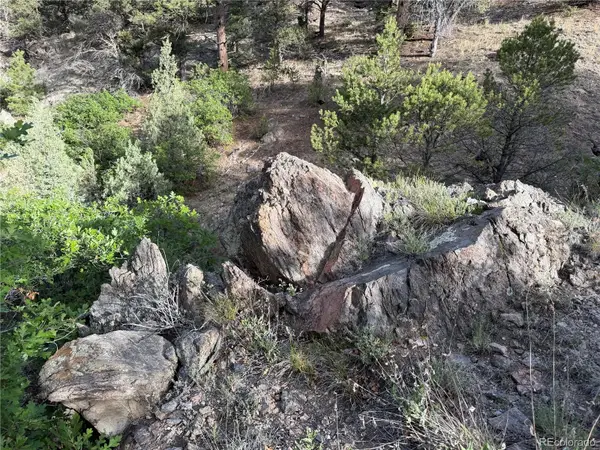 594 Maurice Drive, Cotopaxi, CO 81223