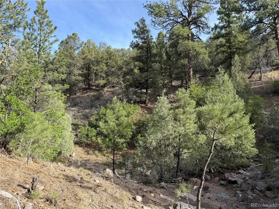 594 Maurice Drive, Cotopaxi, CO 81223 - #3
