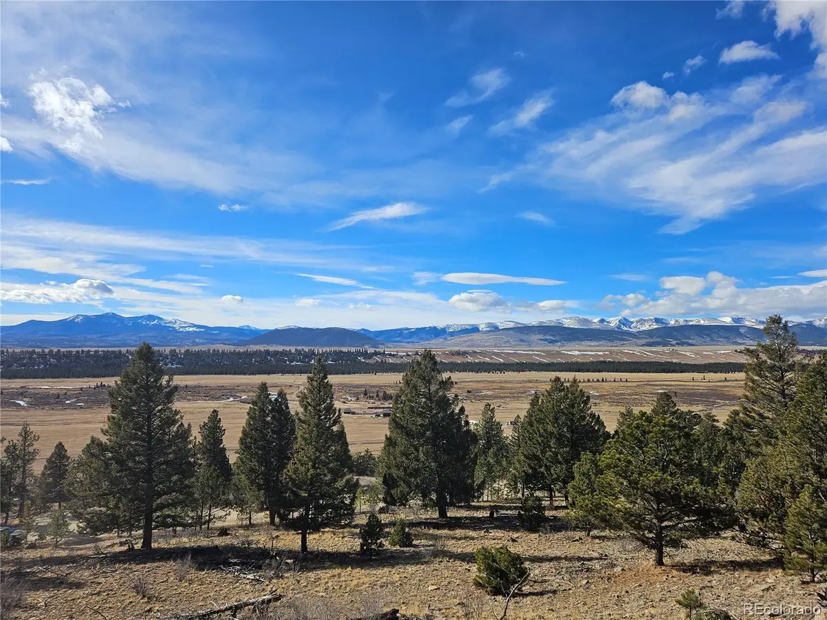 Bonell Drive, Fairplay, CO 80440 - #1