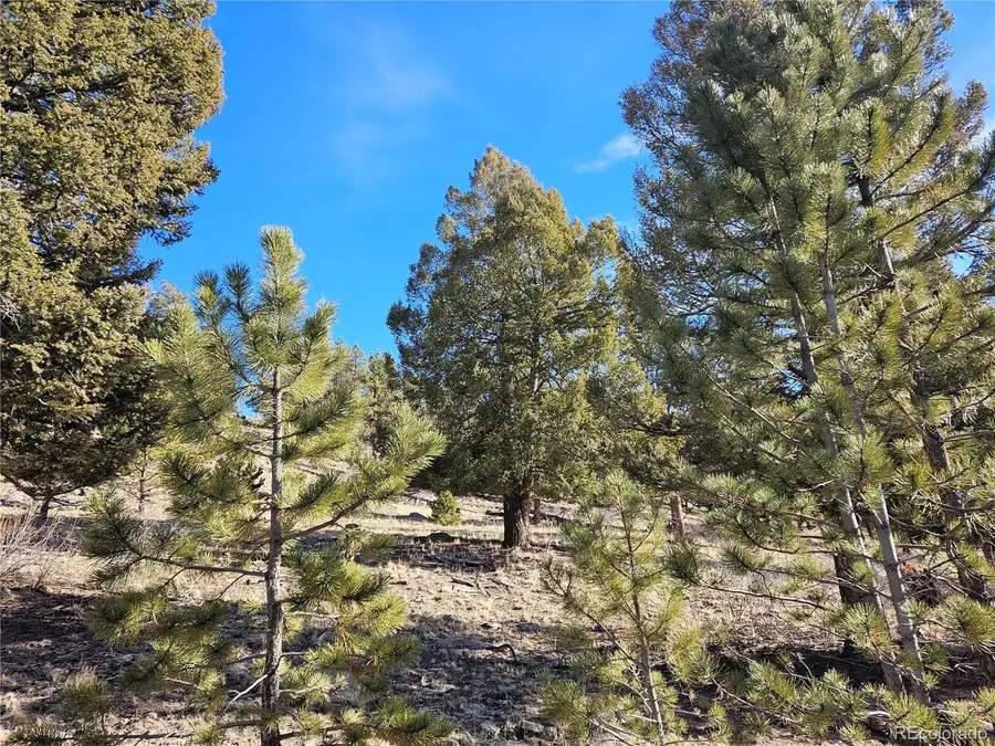 Bonell Drive, Fairplay, CO 80440 - #3