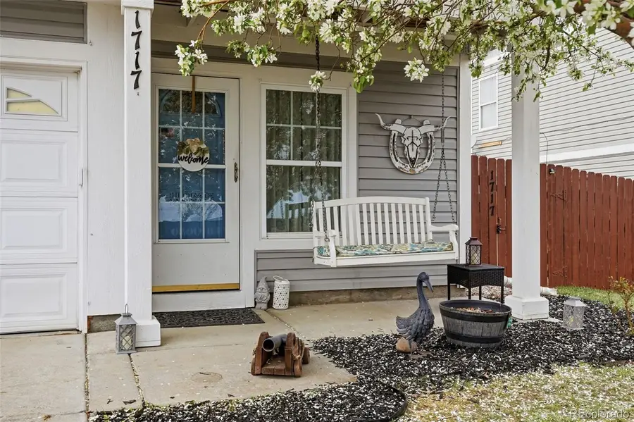 1717 Zephyr Street, Brighton, CO 80603 - #3