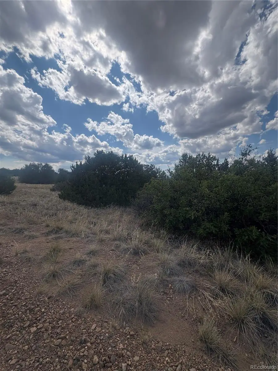 Mount Shavano, Colorado City, CO 81019 - #3