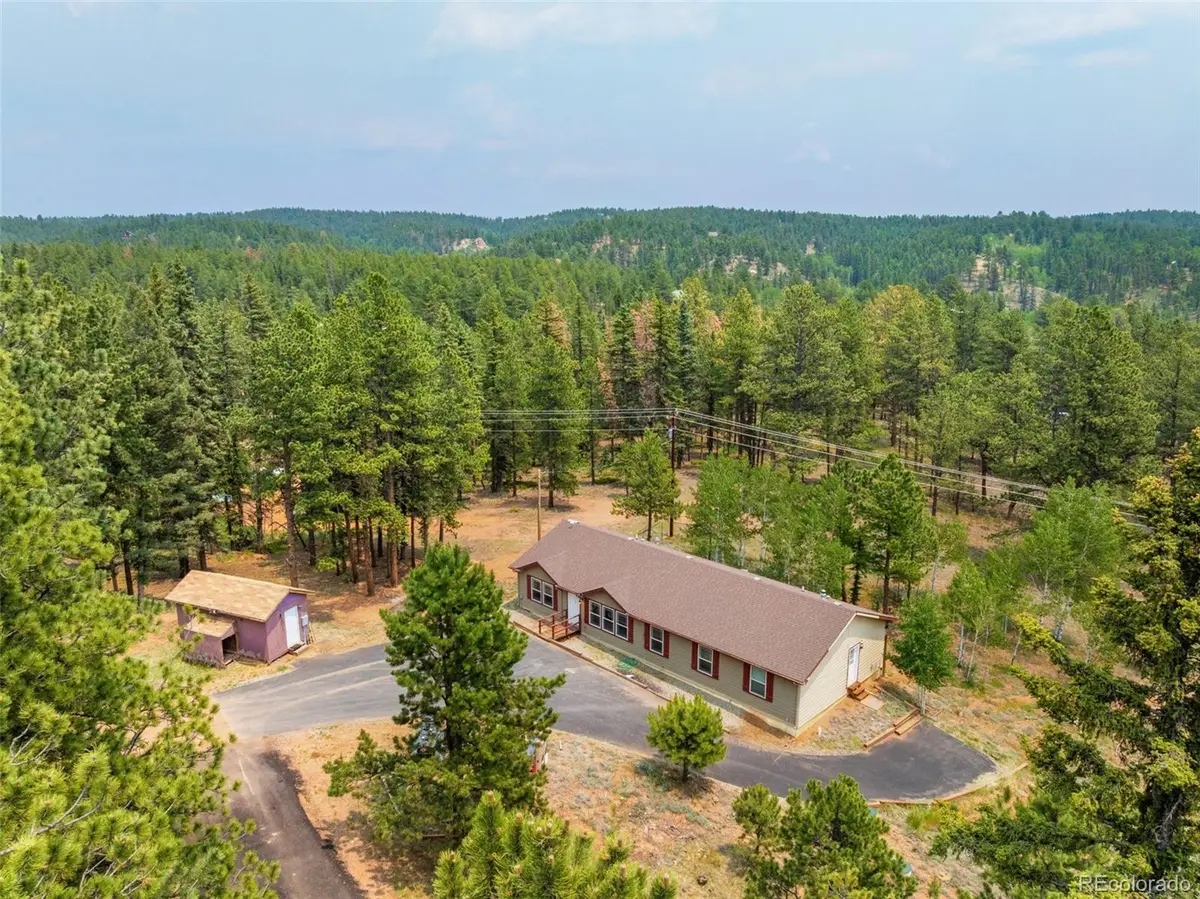 156 Fossil Creek Road, Florissant, CO 80816 - #1