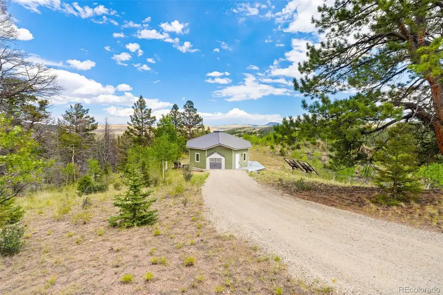 65 Riata Run, Hartsel, CO 80449 - #2