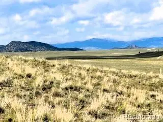 785 Cherokee Trail, Hartsel, CO 80449 - #1
