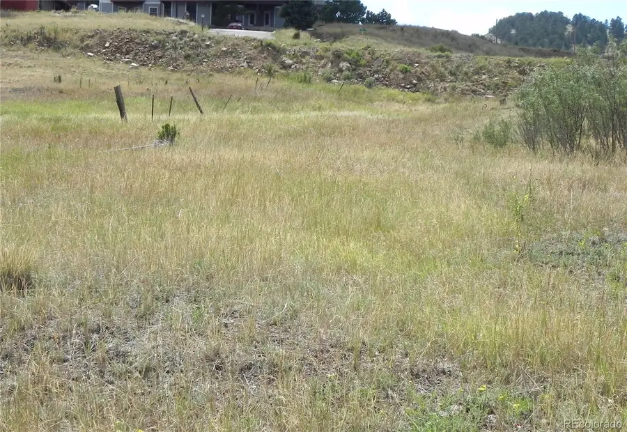 Lot 41-42 S 1st Street, Cripple Creek, CO 80813 - #2