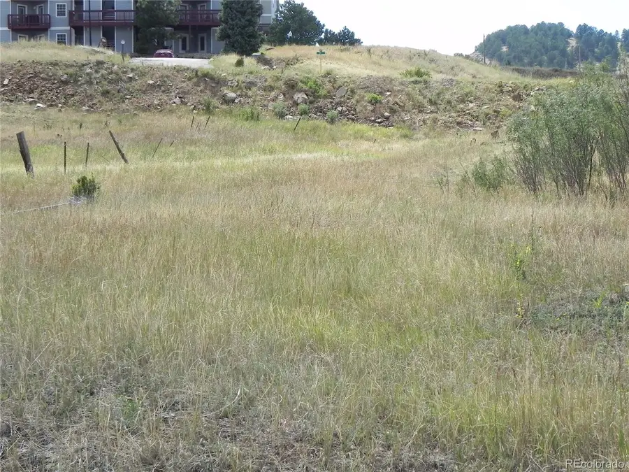 Lot 41-42 S 1st Street, Cripple Creek, CO 80813 - #3