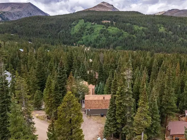 291 Doris Drive, Breckenridge, CO 80424