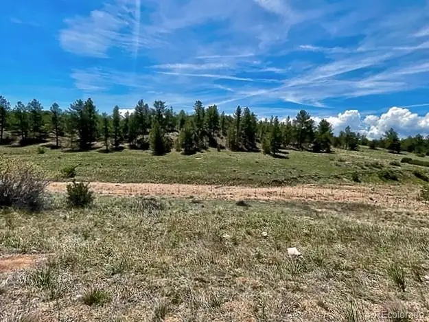 7080 Copper Gulch Road, Cotopaxi, CO 81223 - #2