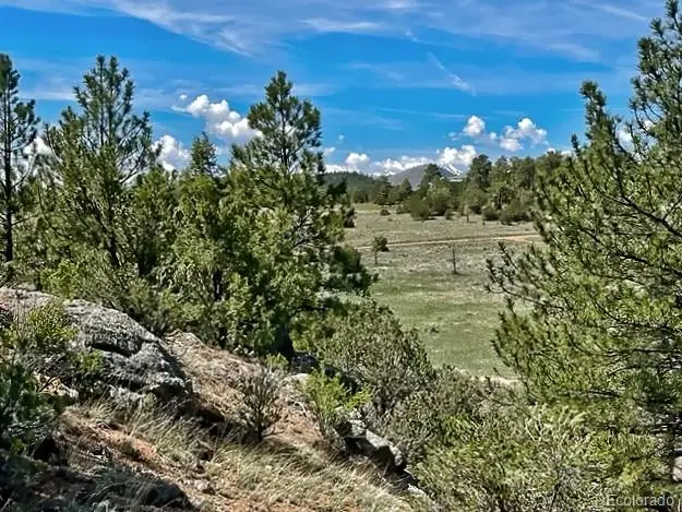 7080 Copper Gulch Road, Cotopaxi, CO 81223 - #3