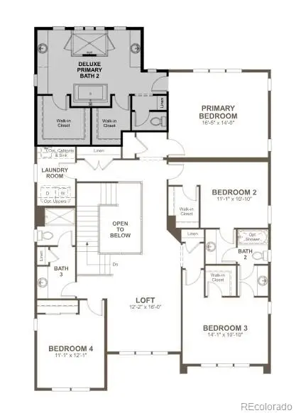 8514 Piedra River Street, Littleton, CO 80125 - #3