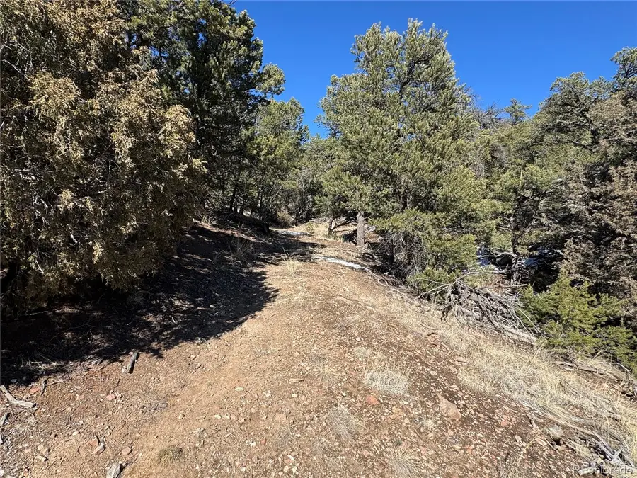 1214 Kevin Drive, Cotopaxi, CO 81223 - #2