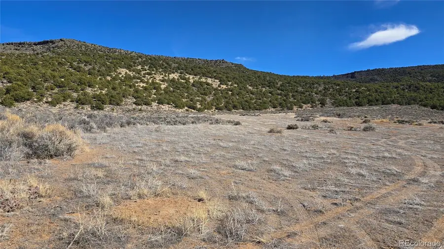 Lot 75 Old Stage Coach Road, San Luis, CO 81152 - #3