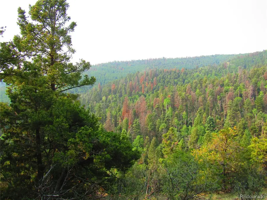 LOT 6328 Jacquez Road, San Luis, CO 81152 - #3