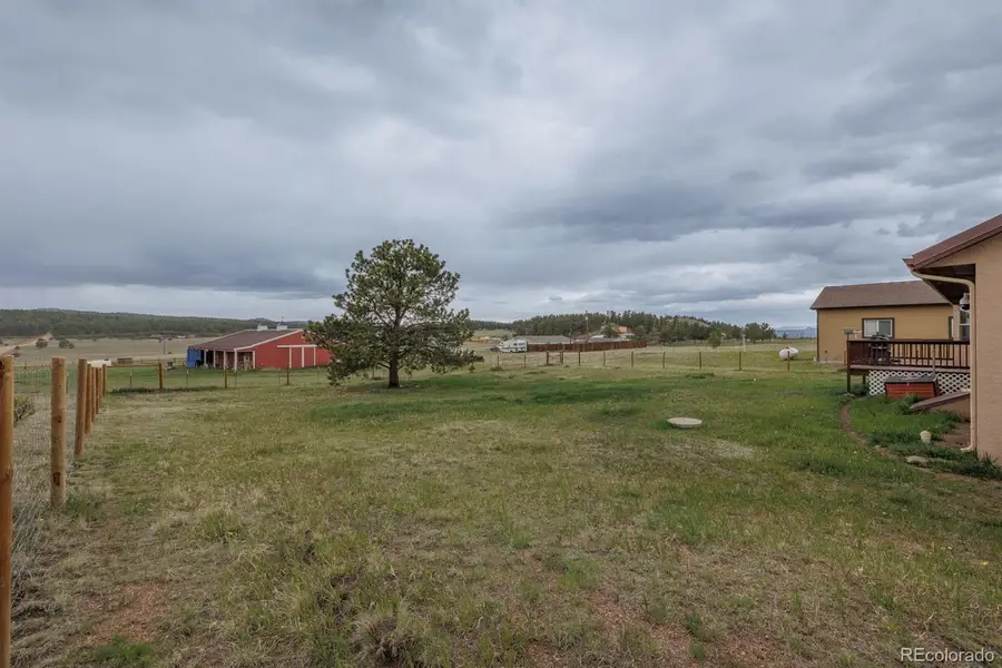 471 Duesouth Road, Florissant, CO 80816 - #3