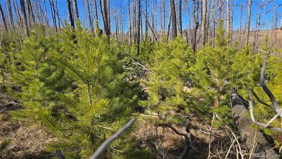 Lot 1470 Von Heyl Lane, Fort Garland, CO 81133 - #2