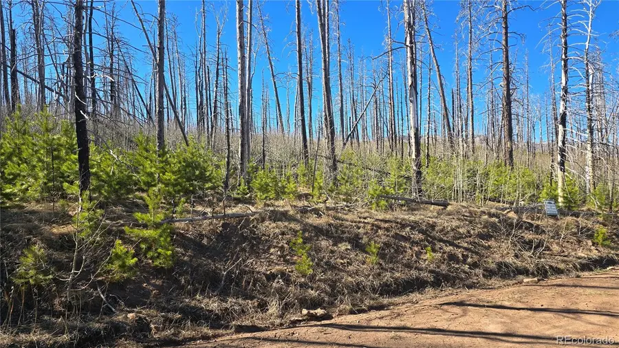 Lot 1470 Von Heyl Lane, Fort Garland, CO 81133 - #3