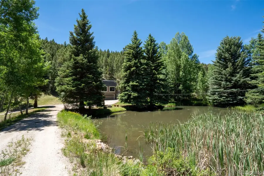 384 Brookside Drive, Bailey, CO 80421 - #3