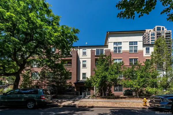 1623 Saint Paul Street #204, Denver, CO 80206