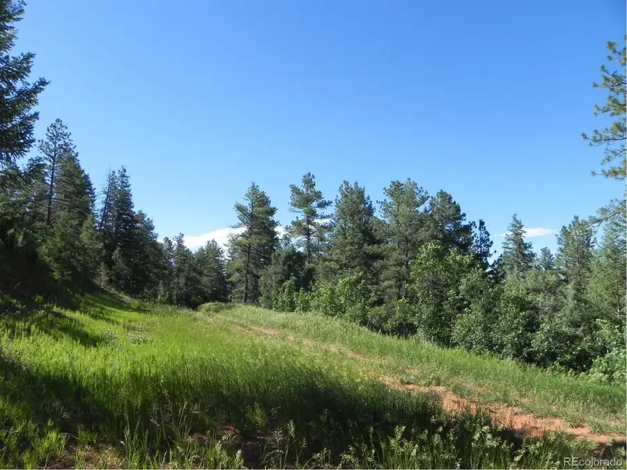 8117 Acoma Drive, Larkspur, CO 80118 - #2
