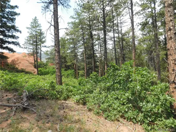 8356 Quivas Road, Larkspur, CO 80118