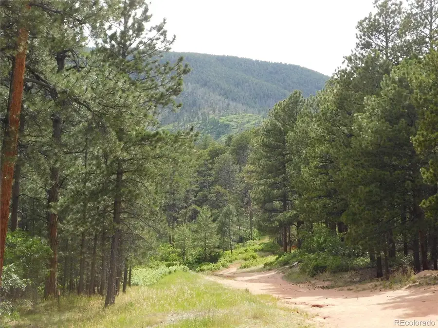 8356 Quivas Road, Larkspur, CO 80118 - #3