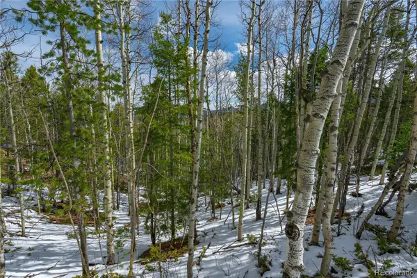 224 Deadwood Road, Cripple Creek, CO 80813