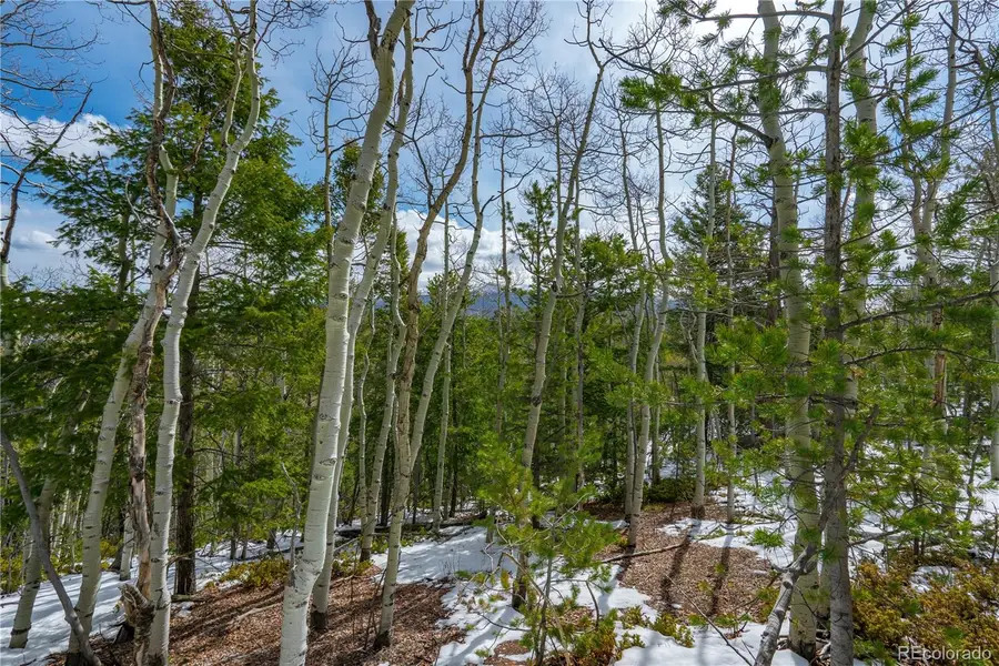 224 Deadwood Road, Cripple Creek, CO 80813 - #3