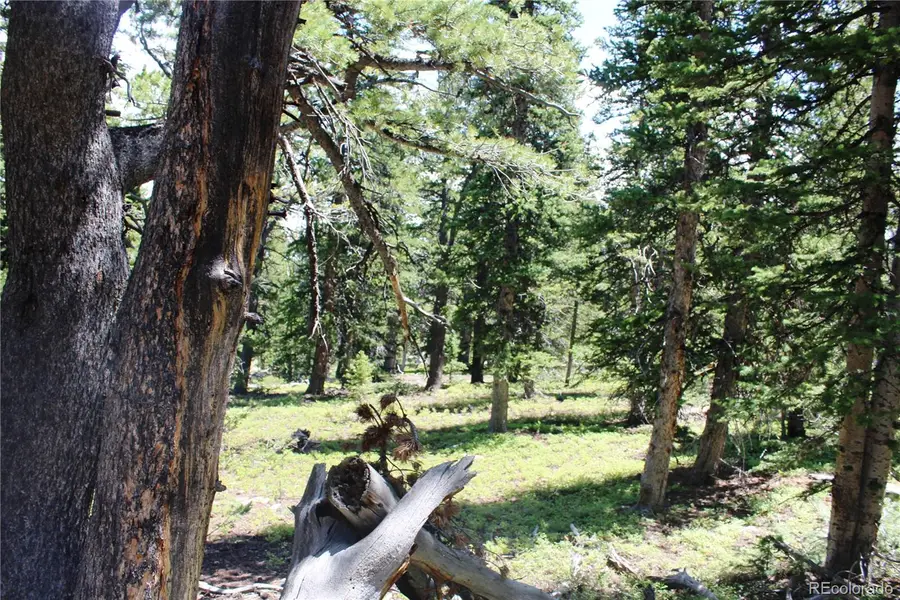 Address Withheld By Seller, City Unavailable, CO  - #3