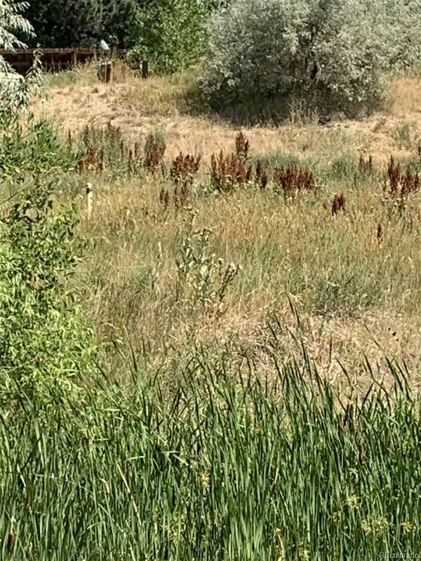 8348 S Carr Way, Littleton, CO 80128