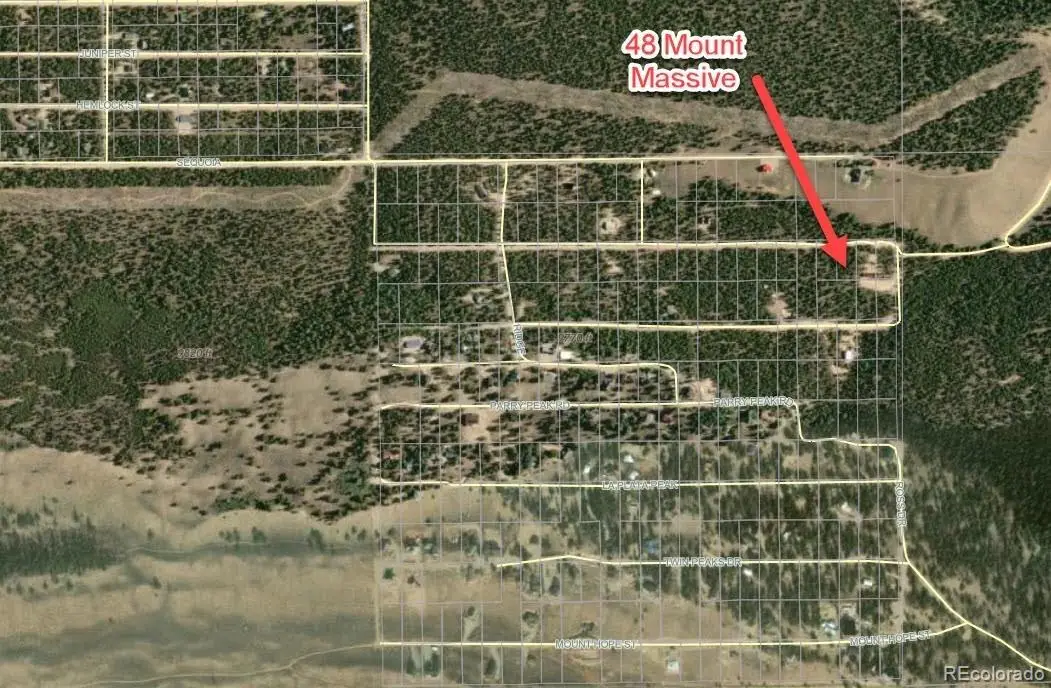 48 Mount Massive Road, Twin Lakes, CO 81251 - #1
