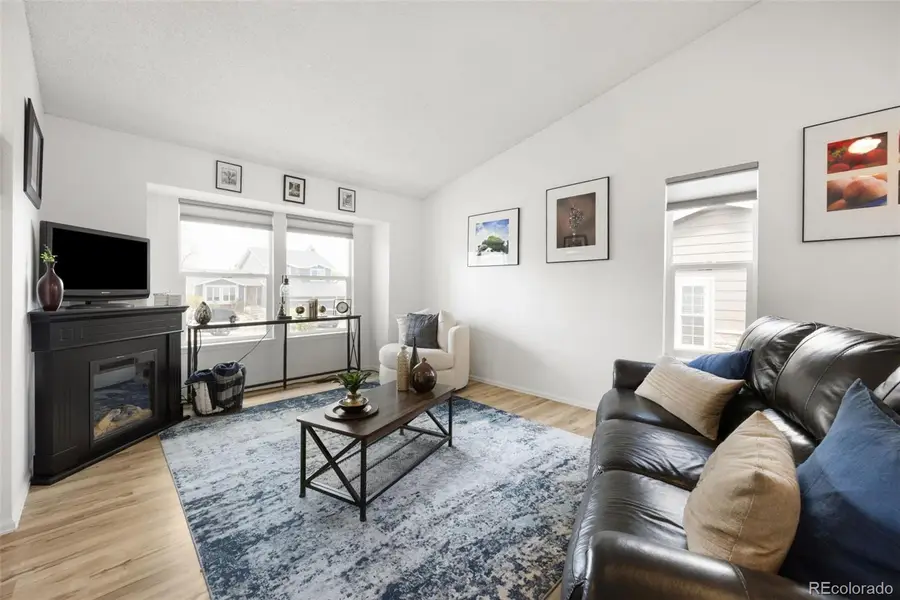 381 Mountain Cloud Circle, Highlands Ranch, CO 80126 - #3