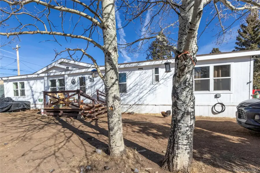 311 W Eaton Avenue, Cripple Creek, CO 80813 - #2