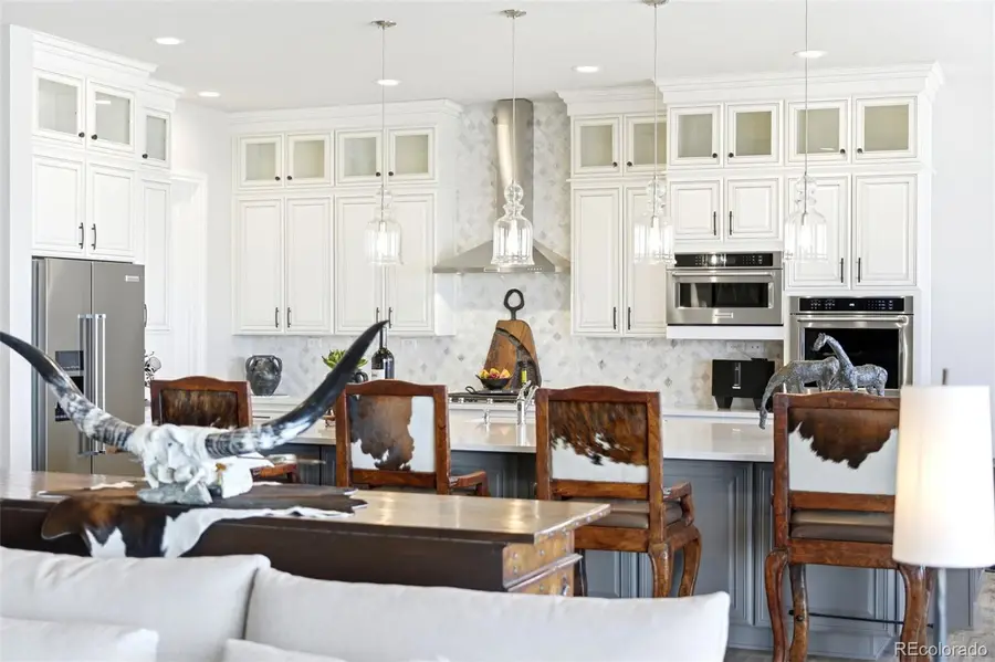 851 Alumroot Street, Castle Rock, CO 80104 - #3