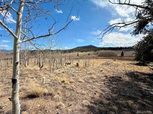 1238 Overland Circle, Jefferson, CO 80456