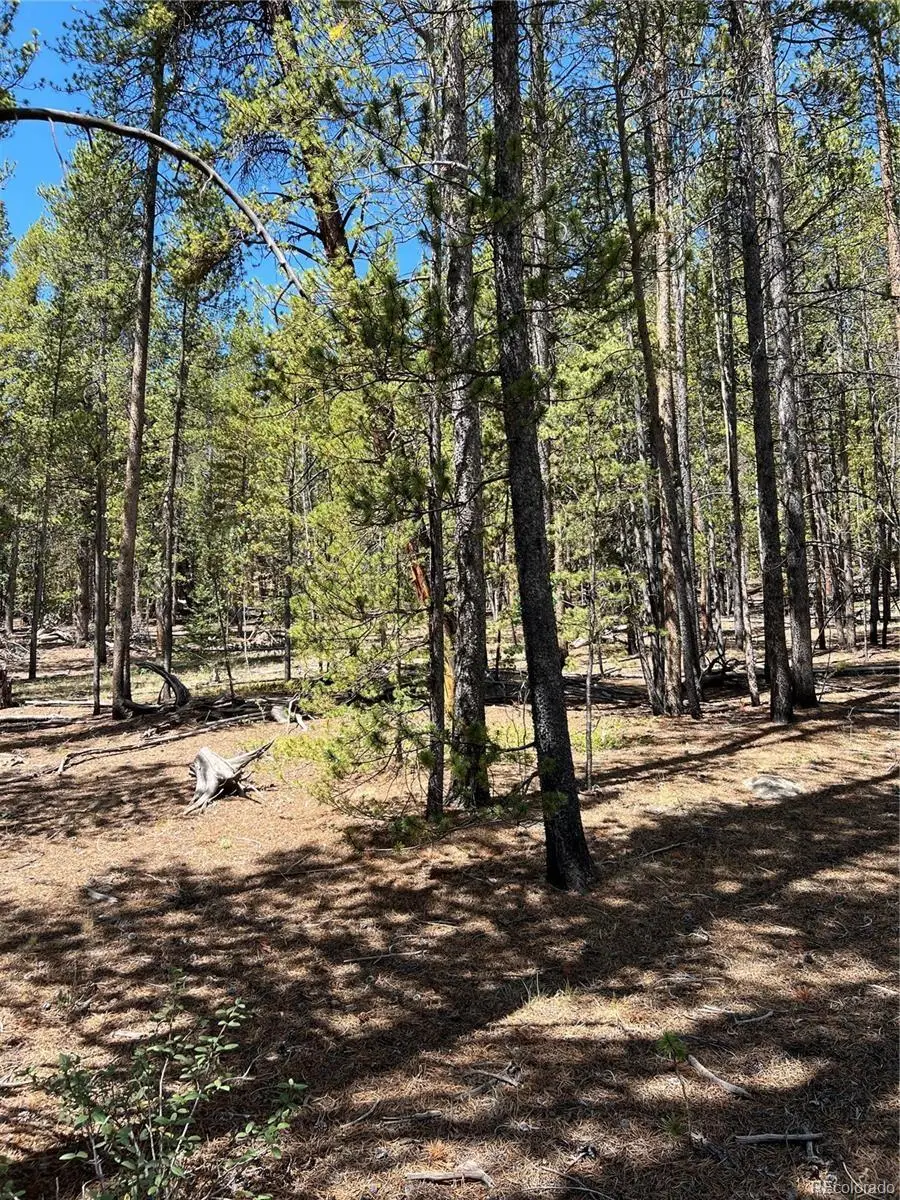 163 Co Rd 665, Fairplay, CO 80440 - #3